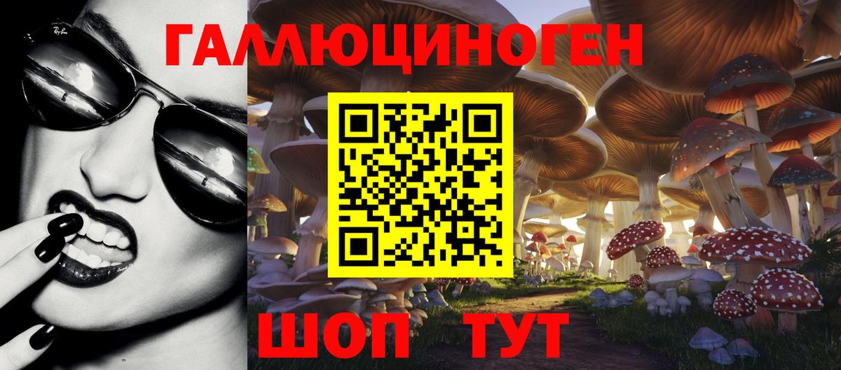 Мариинск  Галлюциногенные грибы Psilocybe  Галлюциногенные грибы прущие грибы  Вход с VPN 